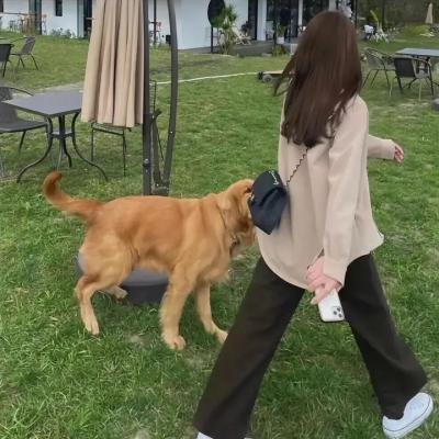 姜戈